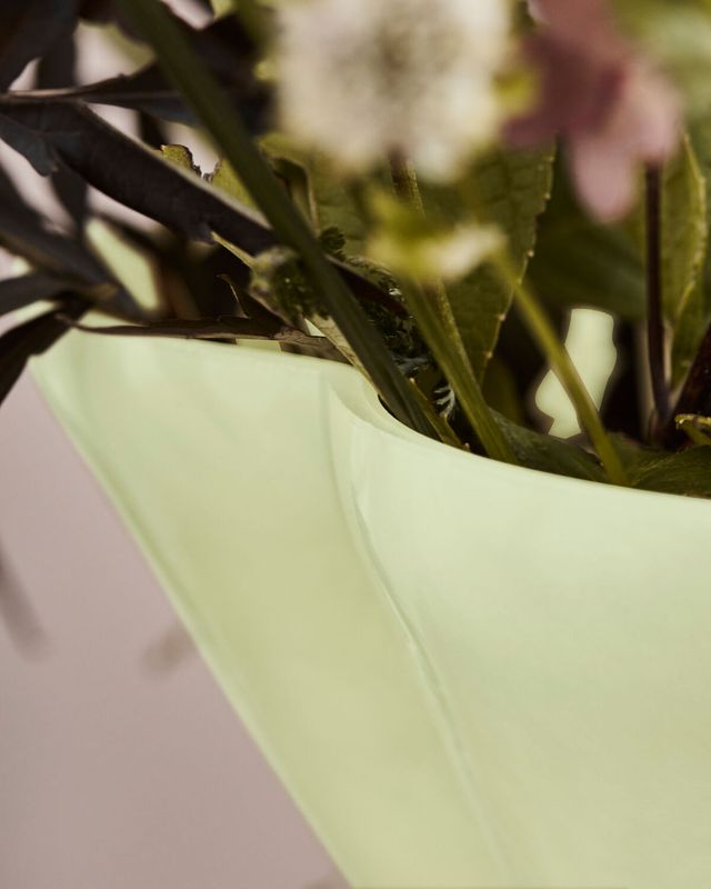 House Doctor Say Vas Gul