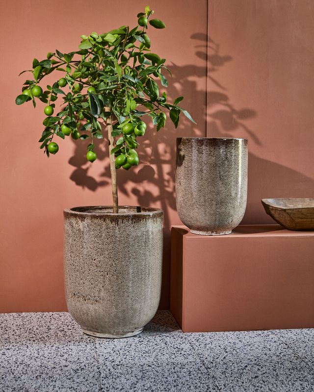 House Doctor Pho Kruka Nougat