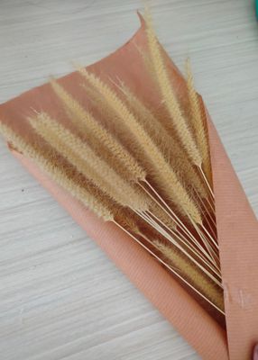 Venture Home Dry flowers Poster Beige