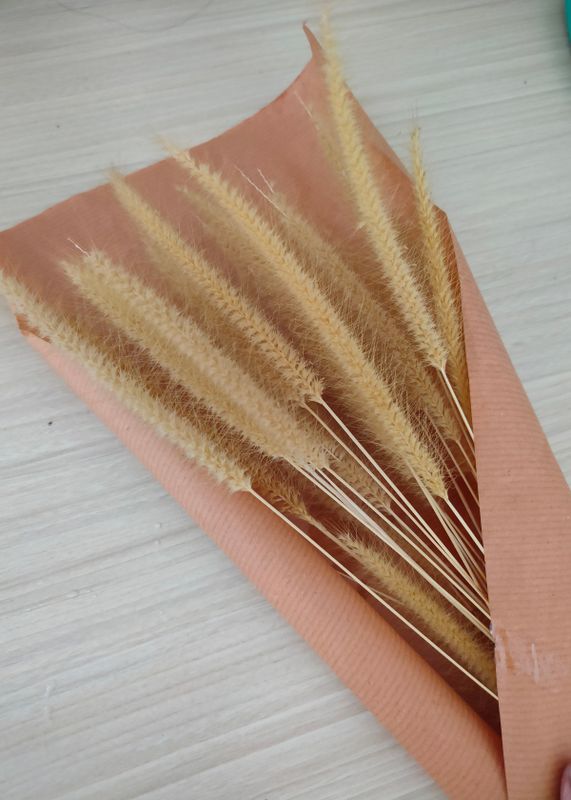 Venture Home Dry flowers Poster Beige