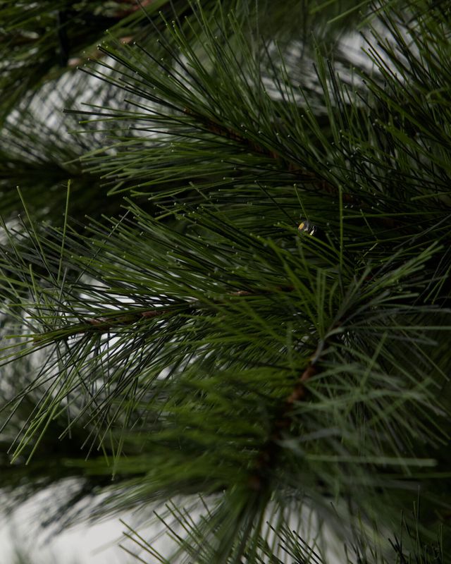 House Doctor Peuce Julgran Natur