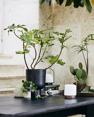 vSHasW0xsyq0q4w1765678955