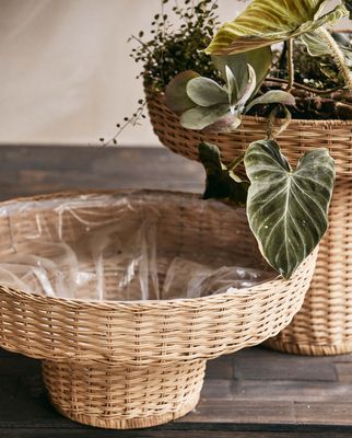 vydUHWIBB9jT73R1765682150