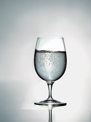 Luigi Bormioli Ölglas 42 cl Palace 6-pack