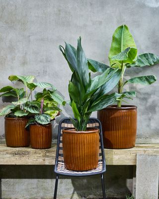 House Doctor Groove Kruka Brun