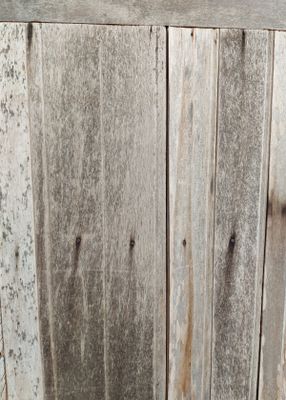 xrNubqb7EfGra9a1771453926