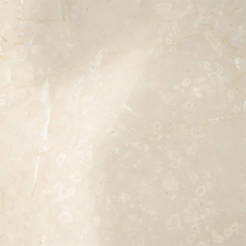 Eleonora Matbord Xanni