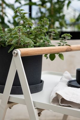 Venture Home Clarin Bord