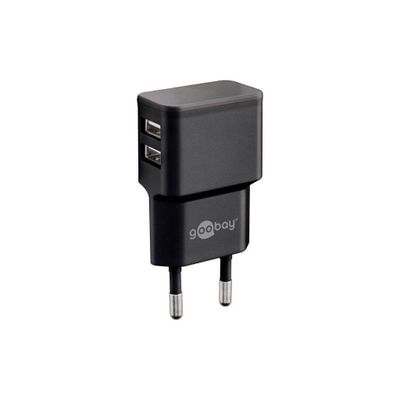 GOOBAY DUAL USB-LADDARE USBX2