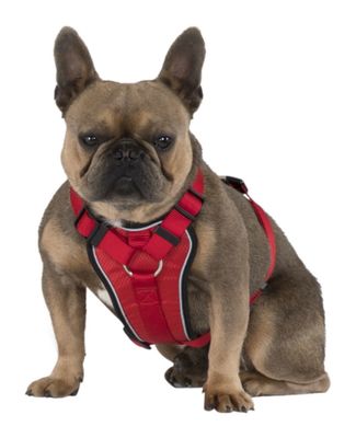 HUNDSELE TANKED