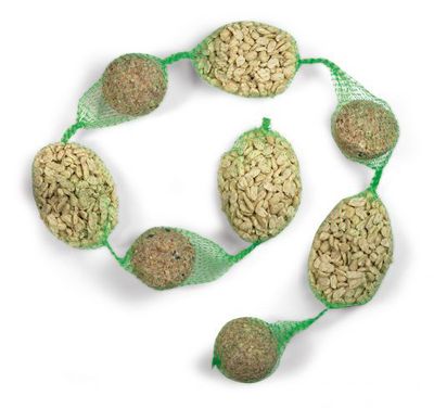 MATKEDJA 4 ST NÖTTER  4 ST TALGBOLL  12-PACK