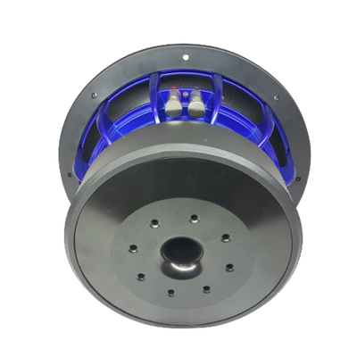 Gs Audio Platinum 10"