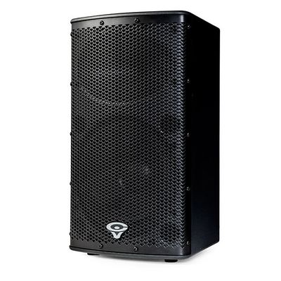 Cerwin-Vega P1000X