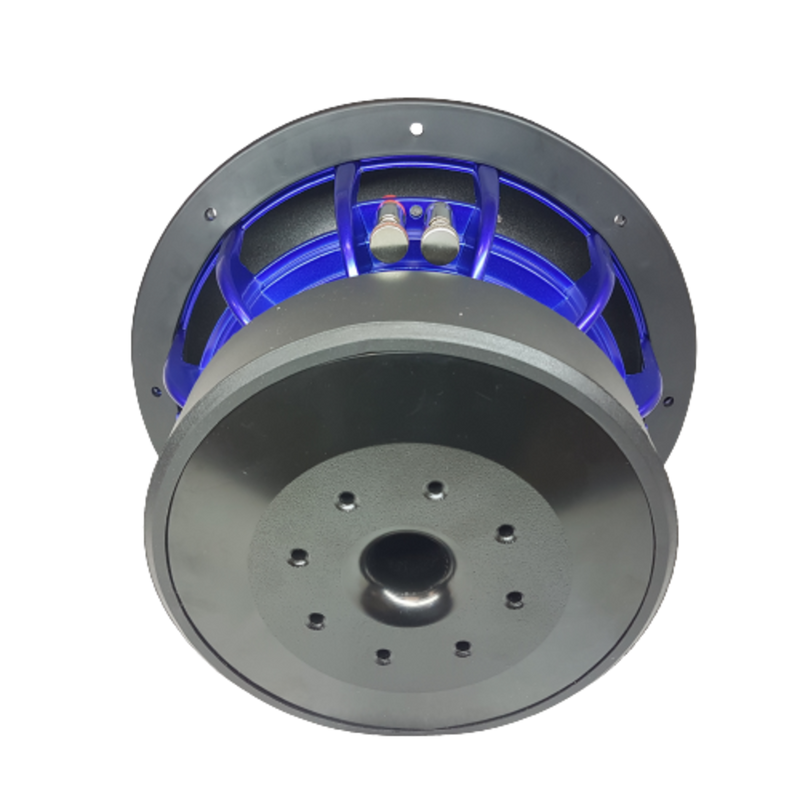 Gs Audio Platinum 10"