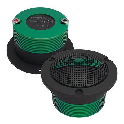 Deaf Bonce Sylvester Amp kit