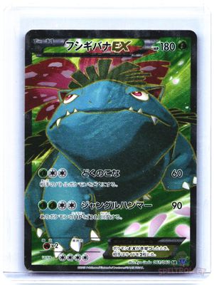 Venusaur EX