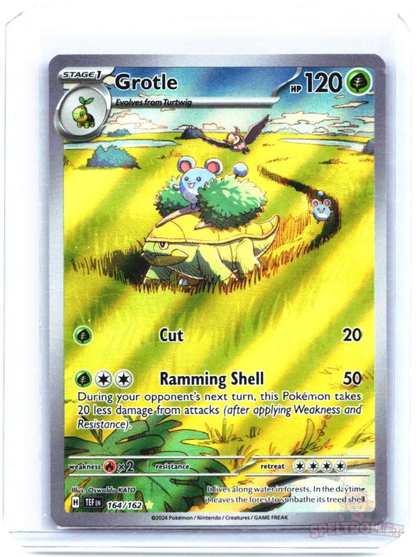 Grotle