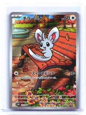 Minccino