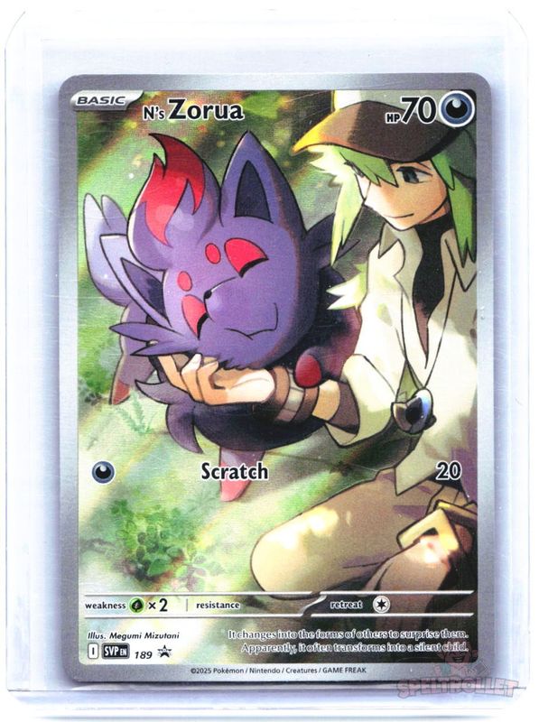 N's Zorua
