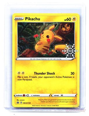 Pikachu - (Holiday Calendar)