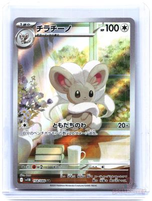 Cinccino