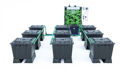 Alien Rain 9 Pot 30L Black Series