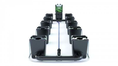 Alien RDWC Pro 10 Pots 55L 4inch Series