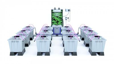 Alien Aero 12 Pot 15L Pro Silver Series