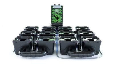 Alien RDWC Pro 12 Pots 34L 4inch Series