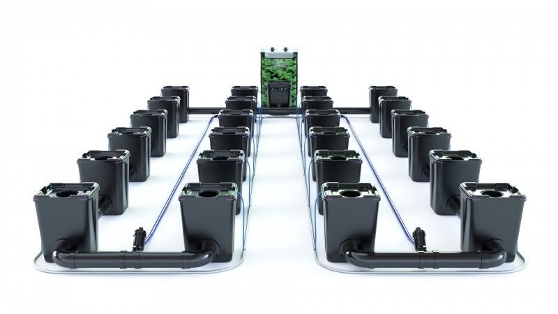 Alien RDWC Pro  24 Pots 55L 4inch Series