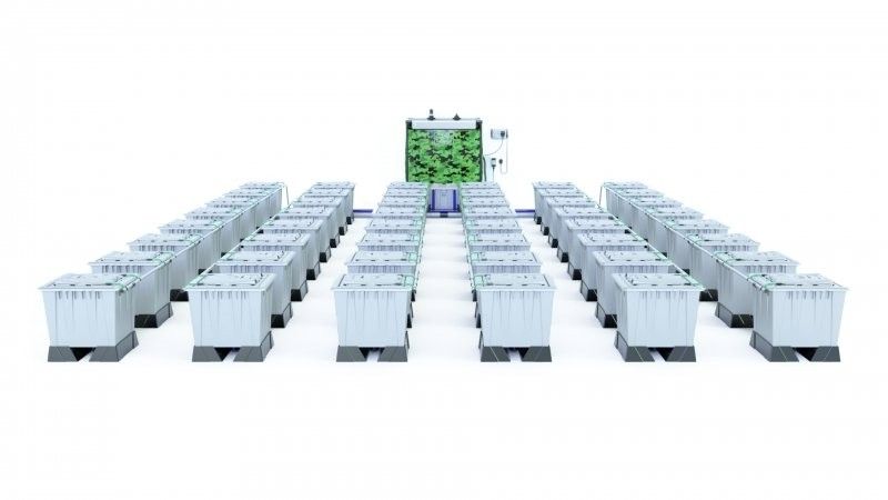 Alien Rain 48 Pot 30L Pro Silver Series