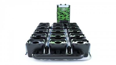 Alien RDWC Pro 15 Pots 34L 4inch Series