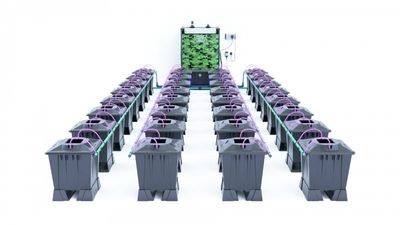 Alien Aero  32 Pot 15L Black Series