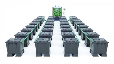 Alien Rain 36 Pot 30L Black Series