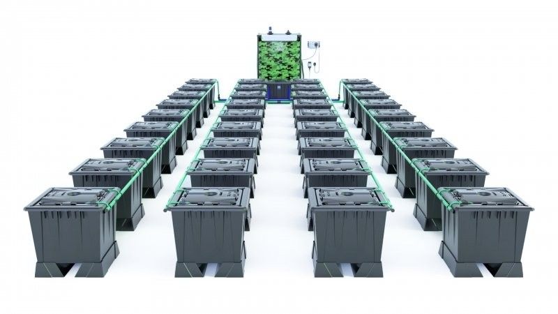 Alien Rain 36 Pot 30L Black Series