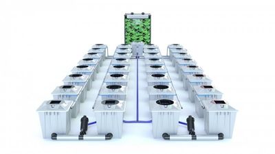 Alien RDWC 32 Pot 20L PRO Silver Series