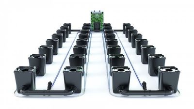 Alien RDWC Pro  32 Pots 55L 4inch Series