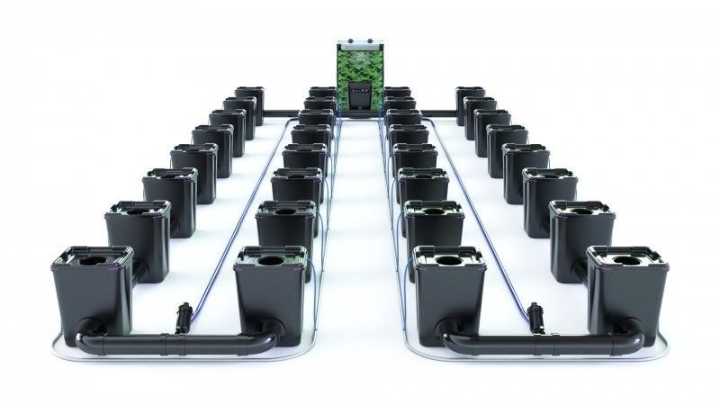 Alien RDWC Pro  32 Pots 55L 4inch Series