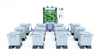 Alien Rain 12 Pot 15L Pro Silver