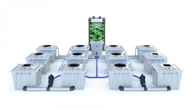 Alien RDWC 12 Pot 36L PRO Silver Series