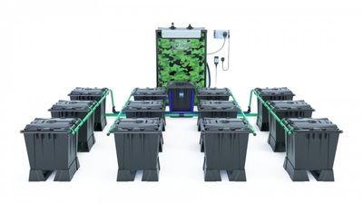 Alien Rain 12 Pot 15L Black Series