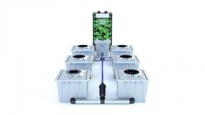 Alien RDWC 6 Pot 36L PRO Silver Series