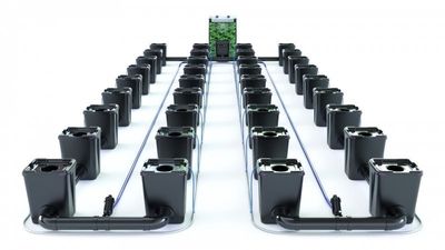 Alien RDWC Pro  36 Pots 55L 4inch Series