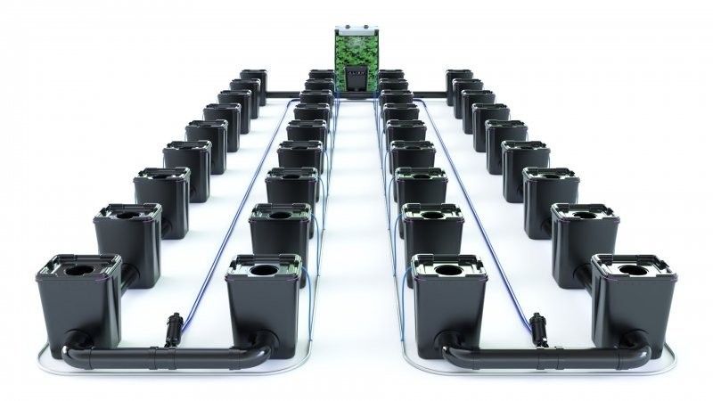 Alien RDWC Pro  36 Pots 55L 4inch Series