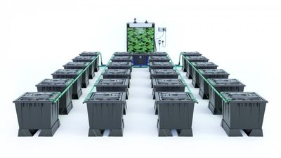 Alien Rain 24 Pot 30L Black Series