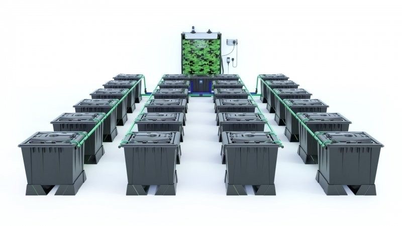 Alien Rain 24 Pot 30L Black Series