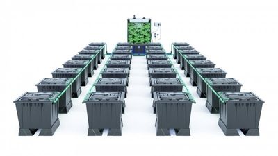 Alien Rain 32 Pot 30L Black Series