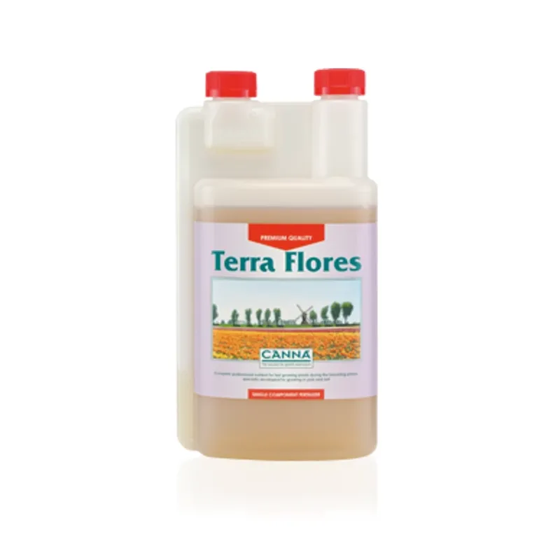 Canna Terra Flores