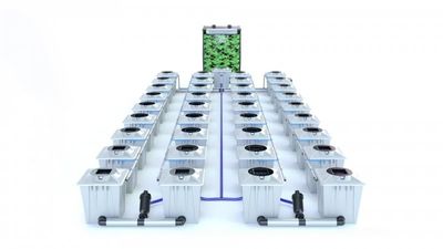 Alien RDWC 36 Pot 20L PRO Silver Series