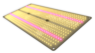 The Jungle LED - The Jackson Nemesis 200W